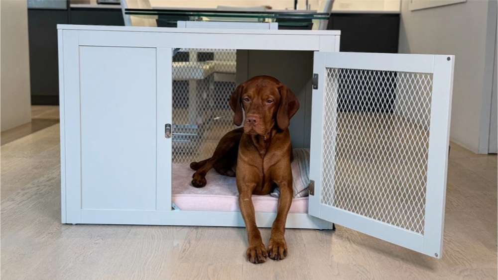 Brown dog relaxes inside a white furniture-style crate on the Bowsers Moderno & Fresco Dog Crate Mat, which adds soft comfort to the crate interior