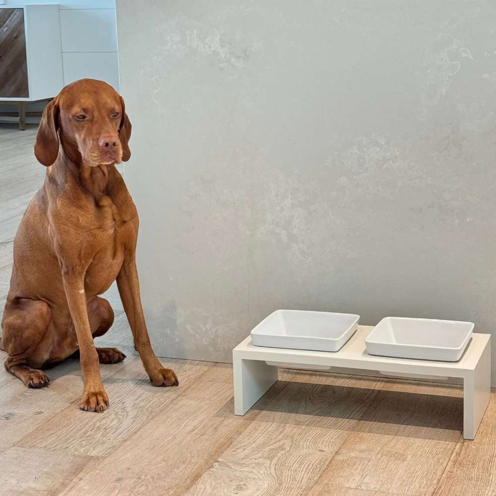 Brown dog sits beside a double Bowsers Fresco Wood Feeder with two white bowls on a light wood floor