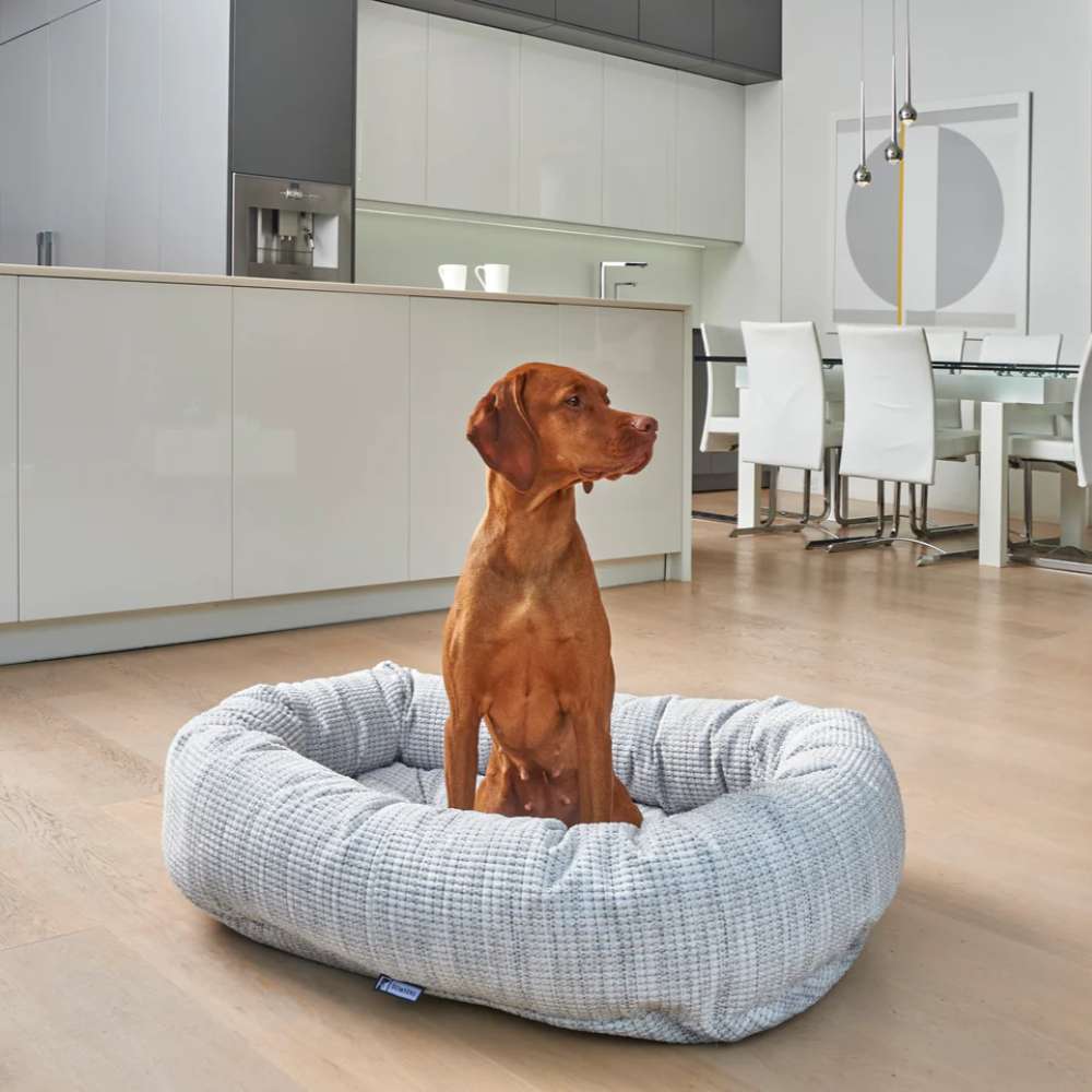Brown dog sits upright inside a soft white Bowsers Donut Dog Bed - Diamond Collection in a bright modern kitchen and dining area