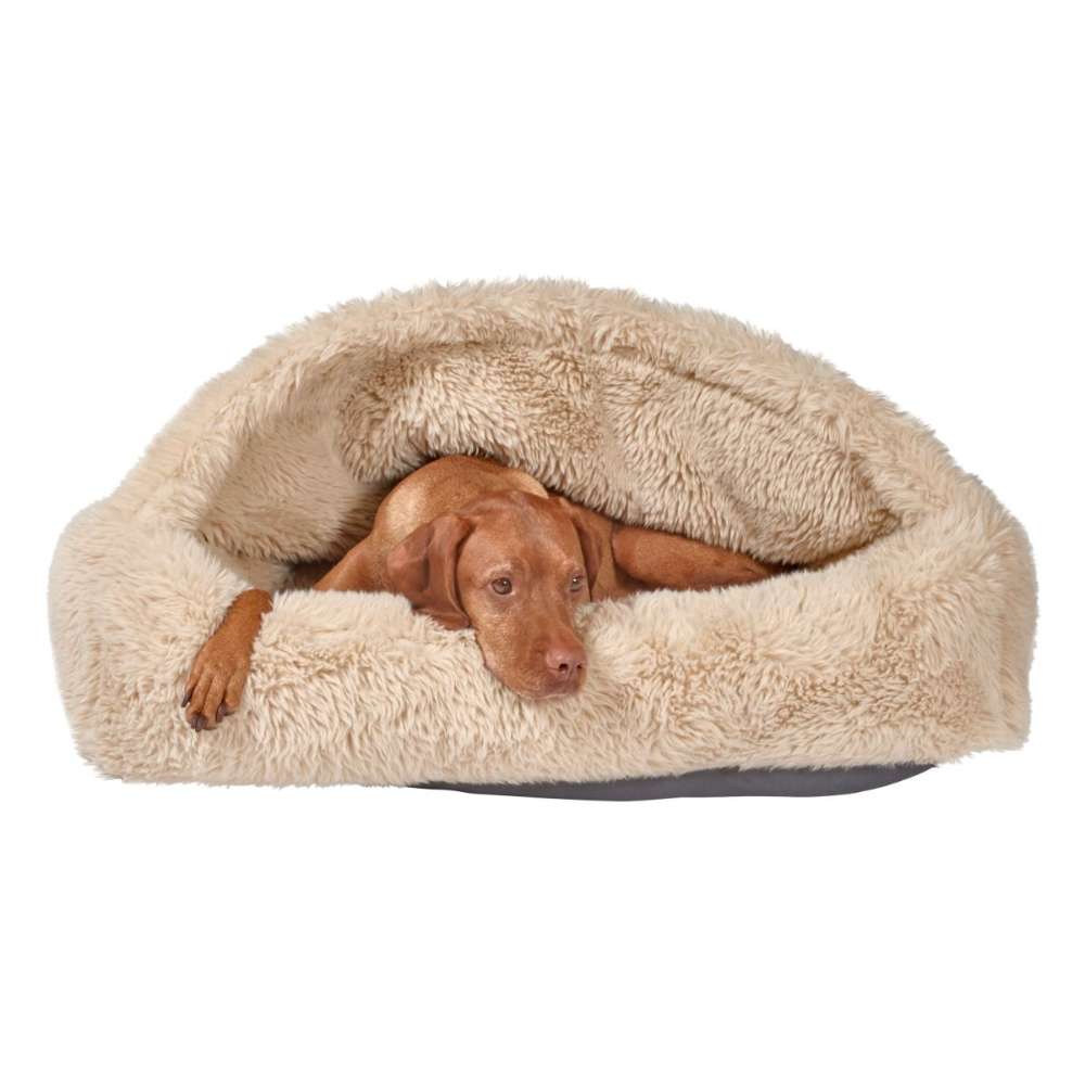 Brown dog is resting inside Bowsers Canopy Cozy Dog Bed in Fluffernutter beige