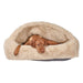 Brown dog is resting inside Bowsers Canopy Cozy Dog Bed in Fluffernutter beige
