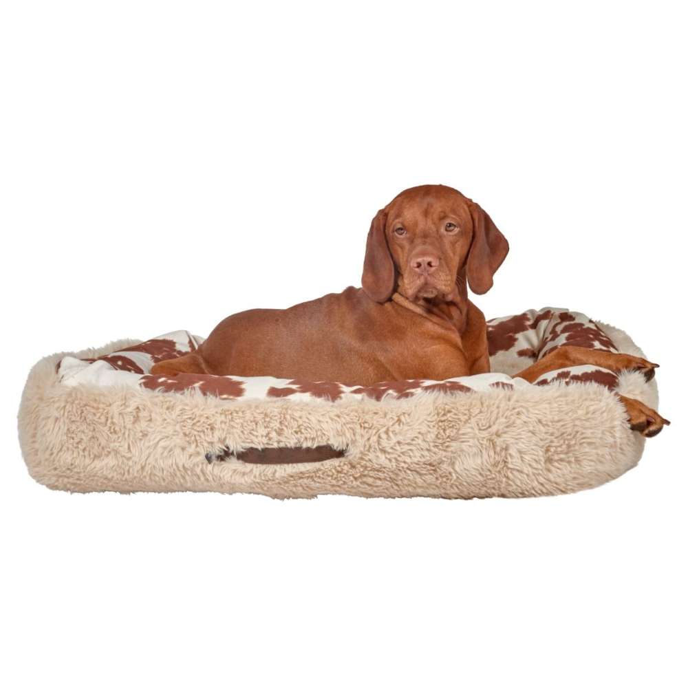 Brown dog lies comfortably in the Durango Bowsers The Dude Dog Bed with its head upright