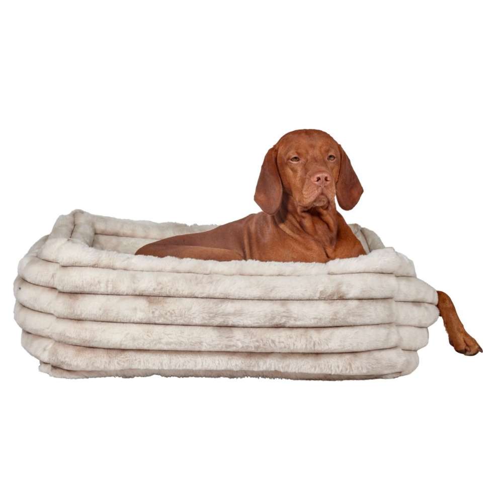 Brown dog lounges inside a Himalayan Bowsers The Franklin Dog Bed with ribbed sides