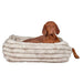 Brown dog lounges inside a Himalayan Bowsers The Franklin Dog Bed with ribbed sides