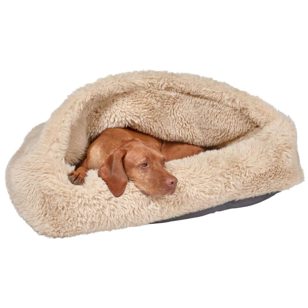 Brown dog lounges sideways in Bowsers Canopy Cozy Dog Bed in Fluffernutter beige