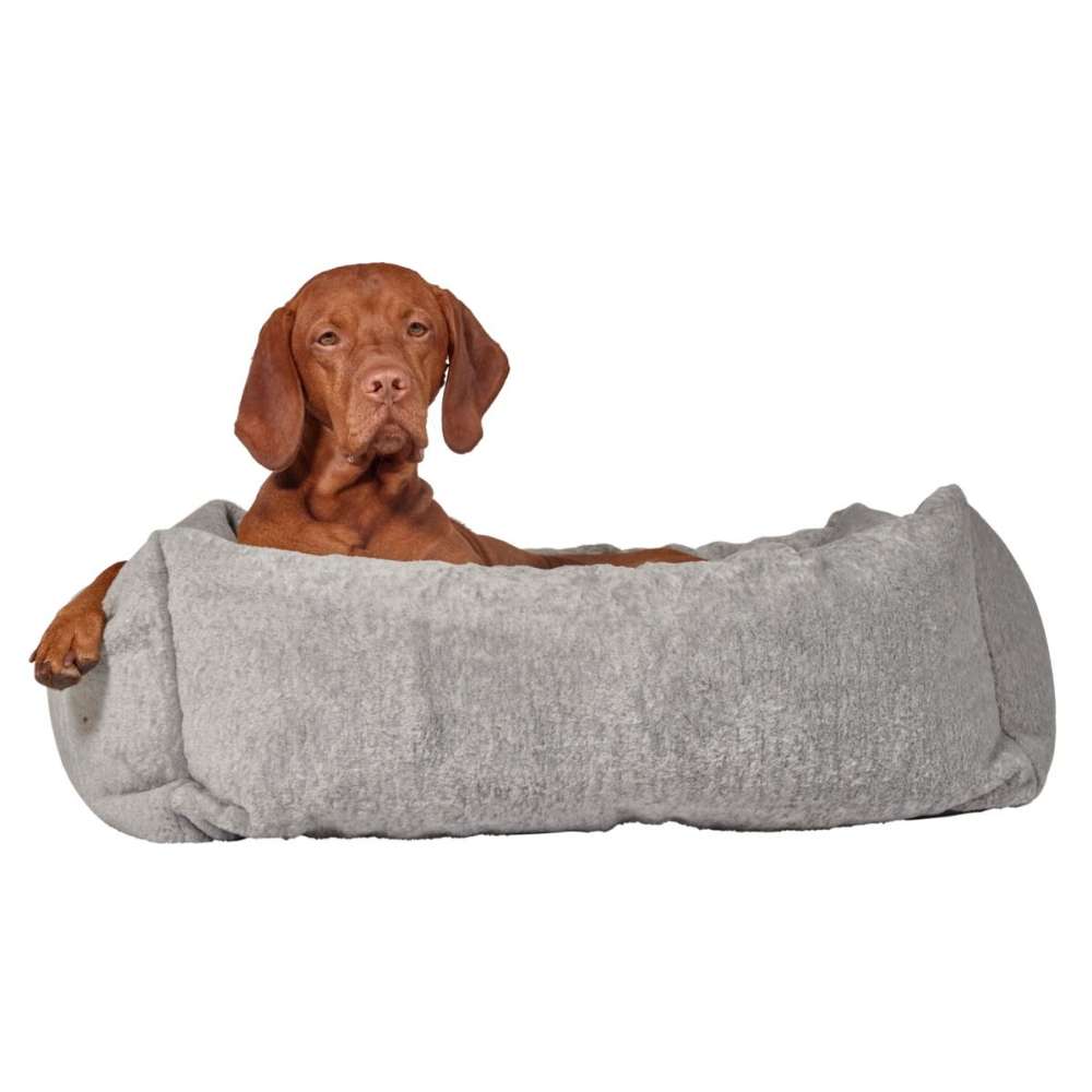 Brown dog relaxes in a soft cloud cushion, resting one paw over the edge of Bowsers The Franklin Dog Bed
