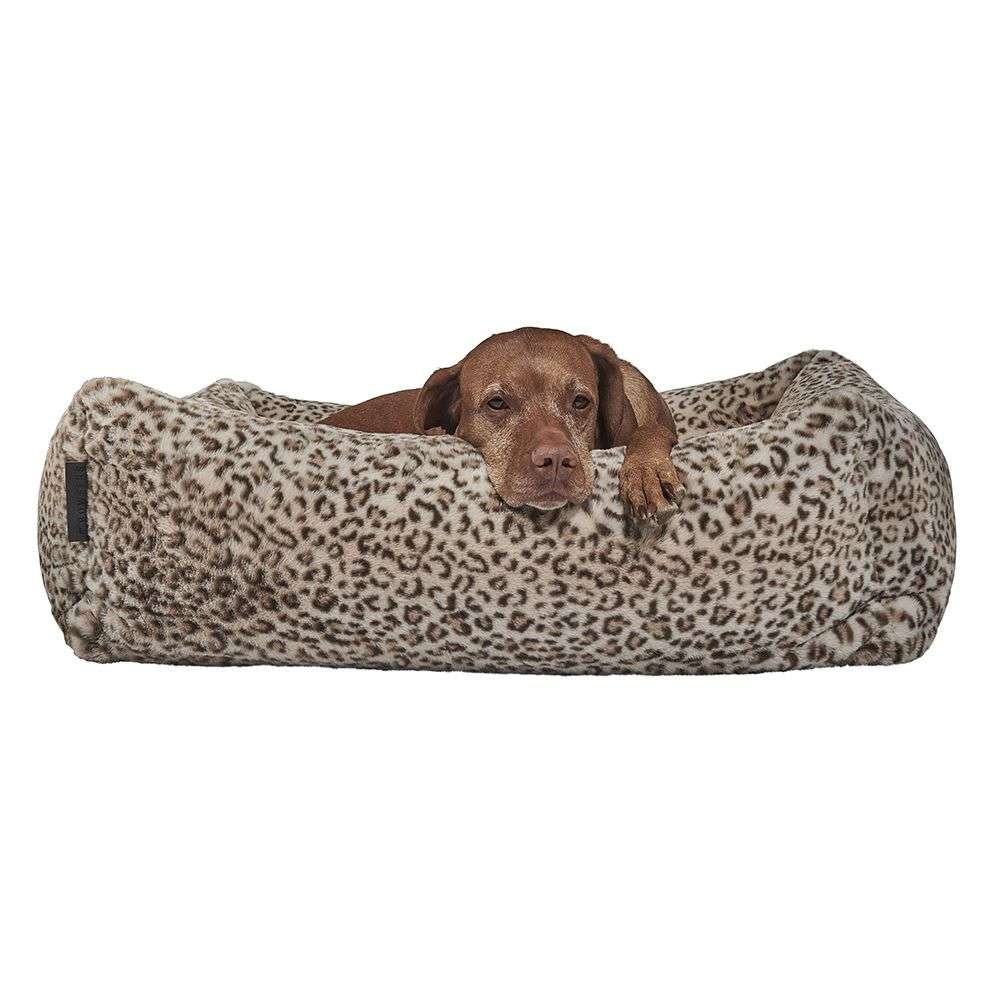Brown dog rests its head on the front edge of a leopard-print Bowsers The Franklin Dog Bed