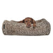 Brown dog rests its head on the front edge of a leopard-print Bowsers The Franklin Dog Bed