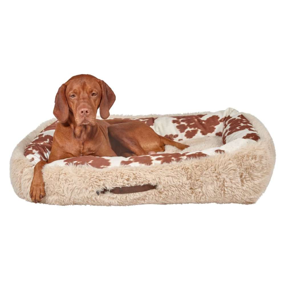 Brown dog rests with one paw hanging over the edge of the cozy Durango Bowsers The Dude Dog Bed