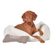 Brown dog sits upright in a milkshake fleece Bowsers The Franklin Dog Bed, with a small pillow labeled Bowsers beside it