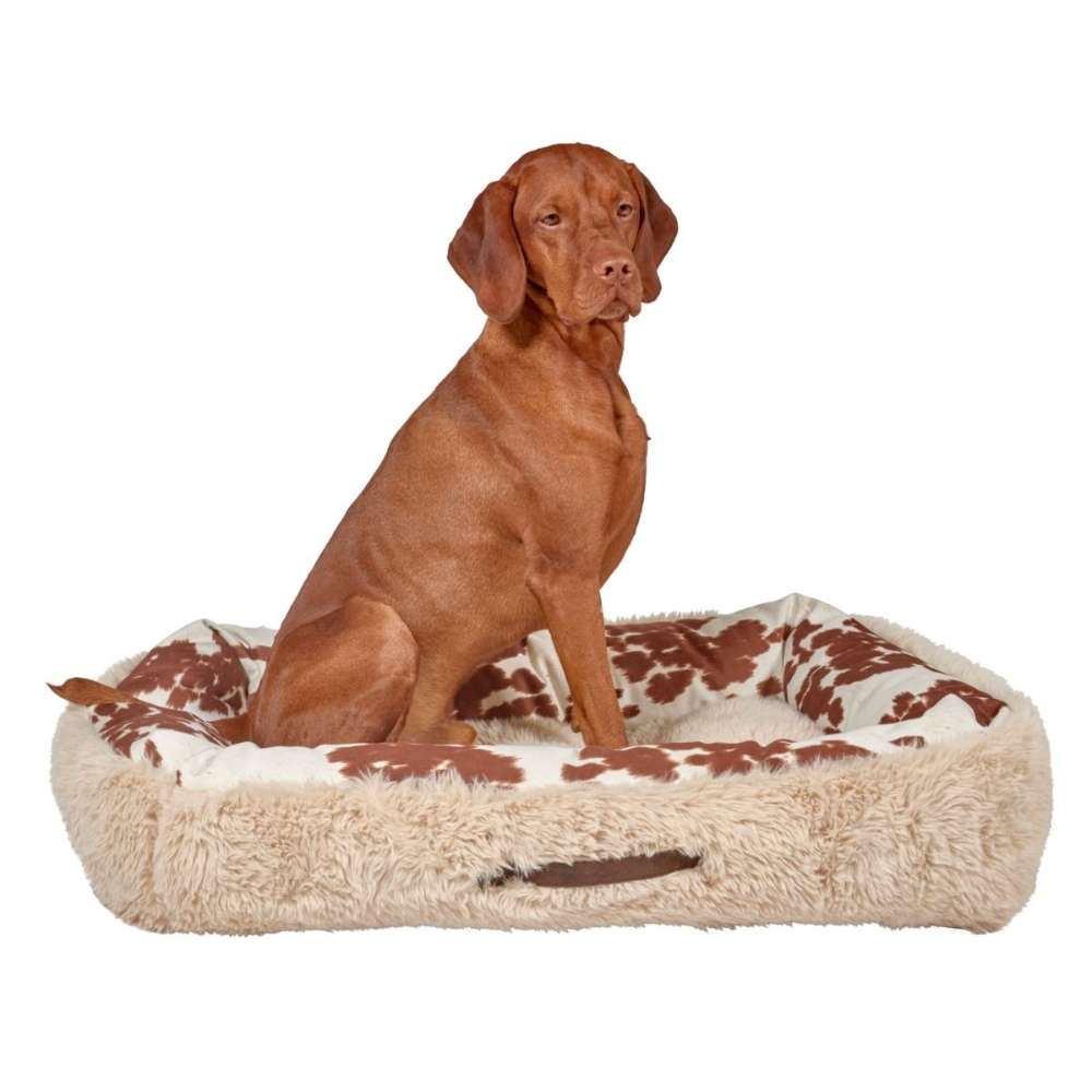 Brown dog sits upright in the middle of the plush Durango Bowsers The Dude Dog Bed