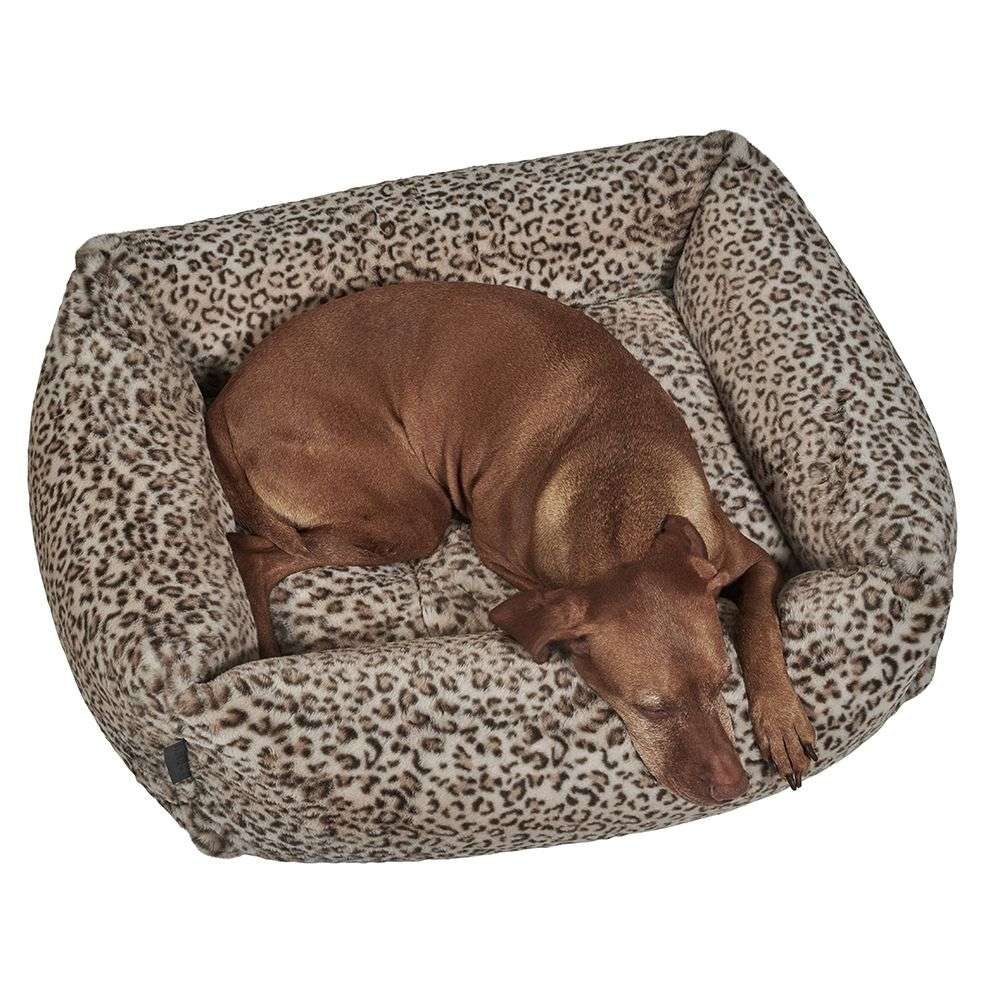 Brown dog sleeps curled up inside a square leopard-print Bowsers The Franklin Dog Bed