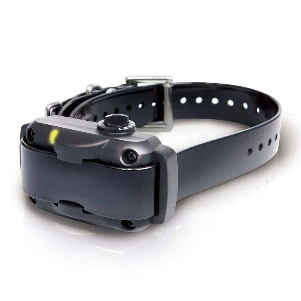 Clean product shot highlights Dogtra YS600 No Bark Dog Collar with its compact receiver, sturdy buckle, and adjustable strap