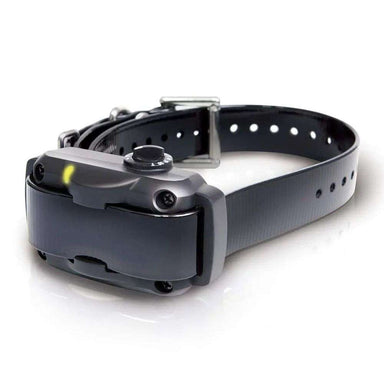 Clean product shot highlights Dogtra YS600 No Bark Dog Collar with its compact receiver, sturdy buckle, and adjustable strap