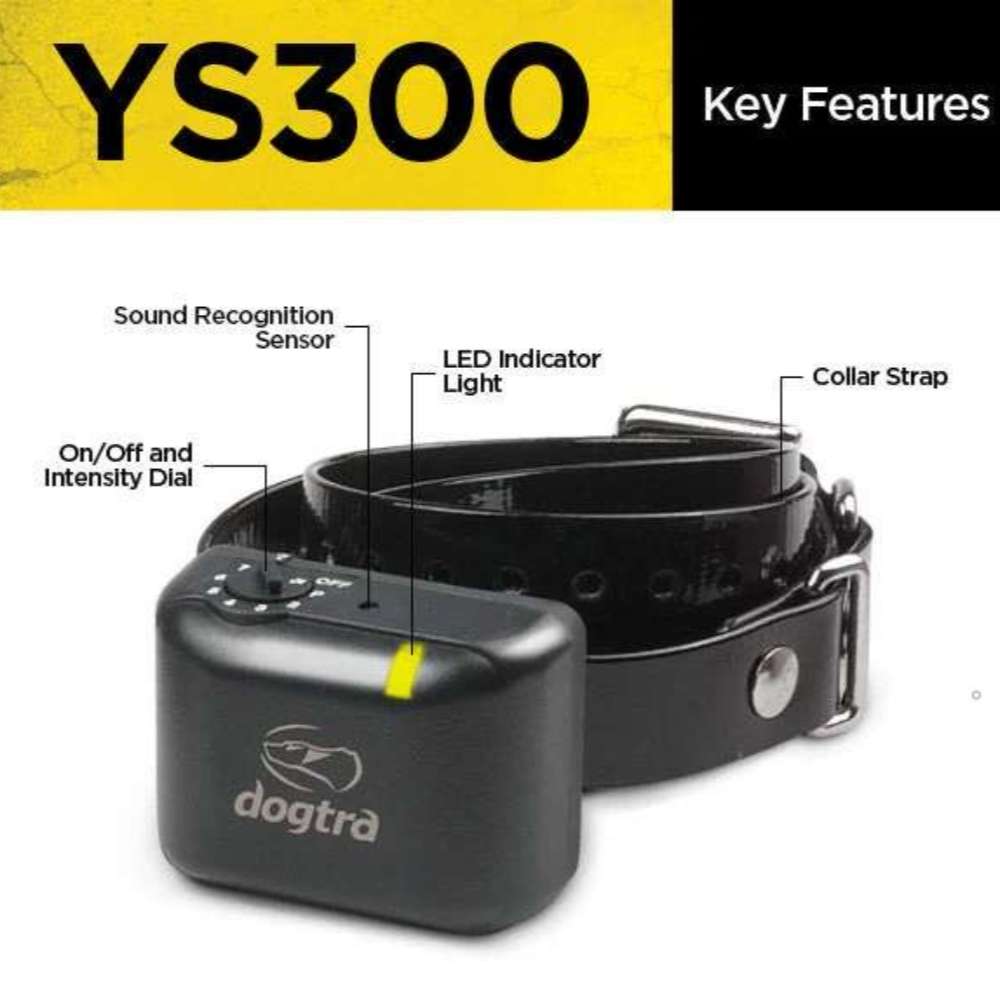 Close-up of Dogtra YS300 No Bark Collar for Small/Medium Dogs shows the sensor, LED light, intensity dial, and strap