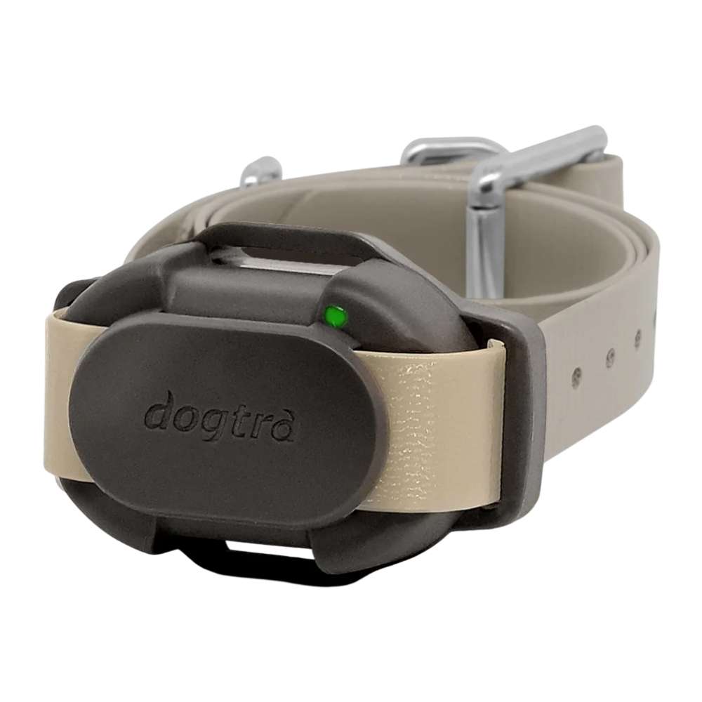 Close-up of a black and beige dog training collar with a black device and a small green light, labeled Black Dogtra CUE Additional Receiver