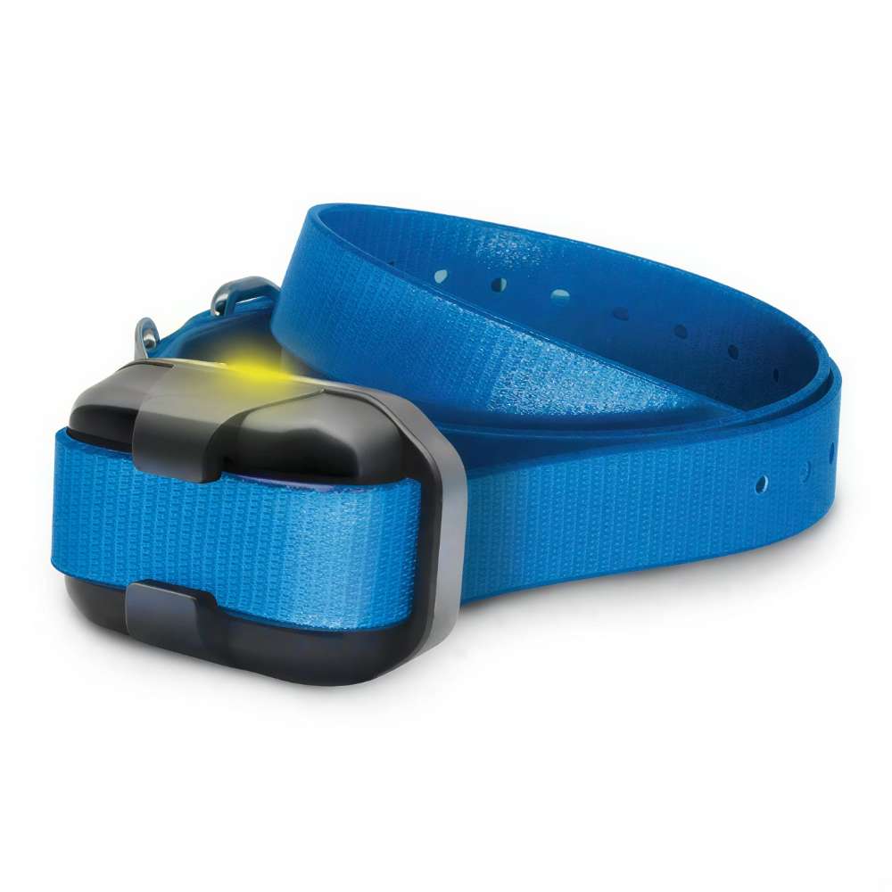 Close-up of a blue collar highlights the compact Dogtra 280X/200iQ Additional Receiver attached to the strap