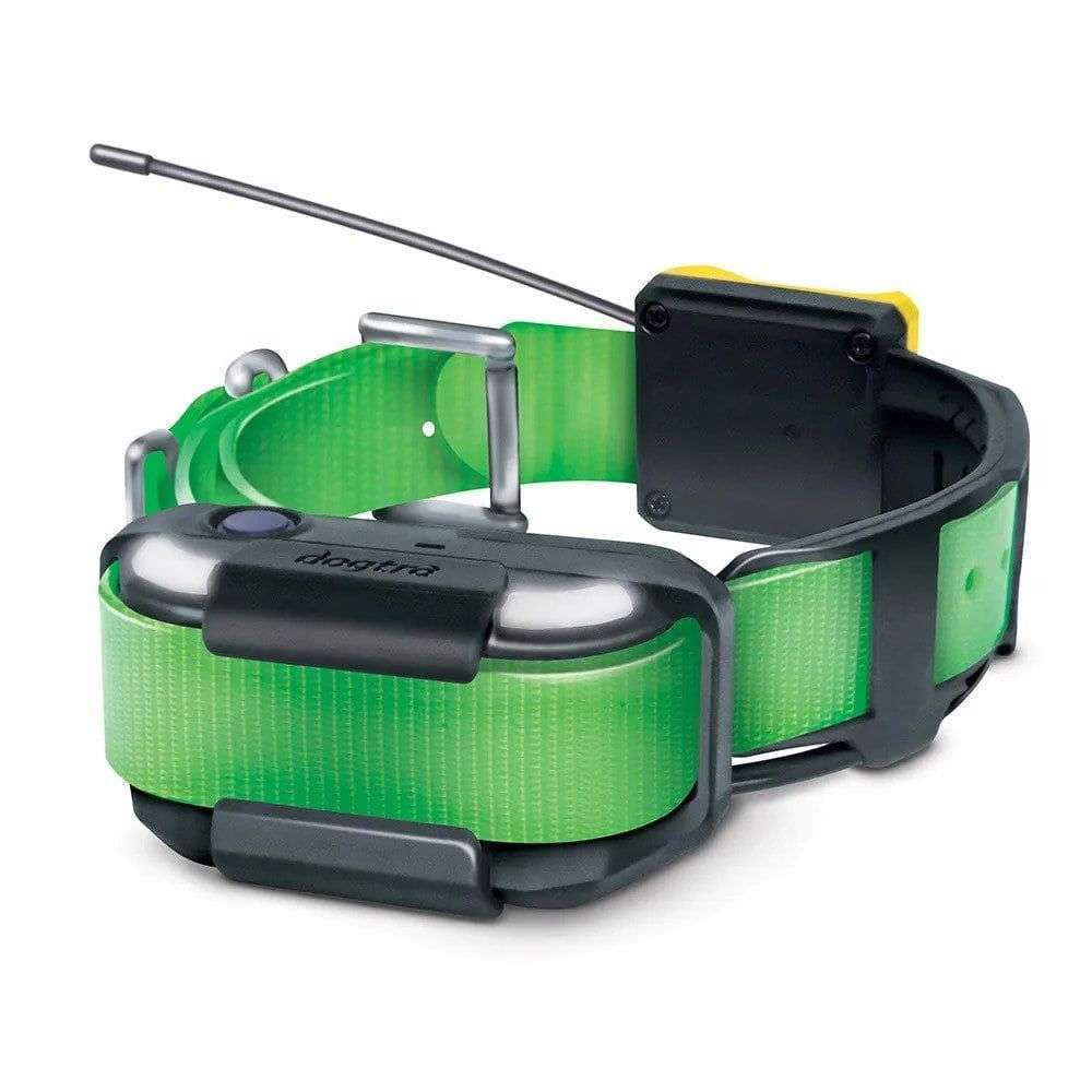 Close-up of the green and black Dogtra Pathfinder2 Extra Receiver Collar showing its adjustable strap, antenna, and metal contact points