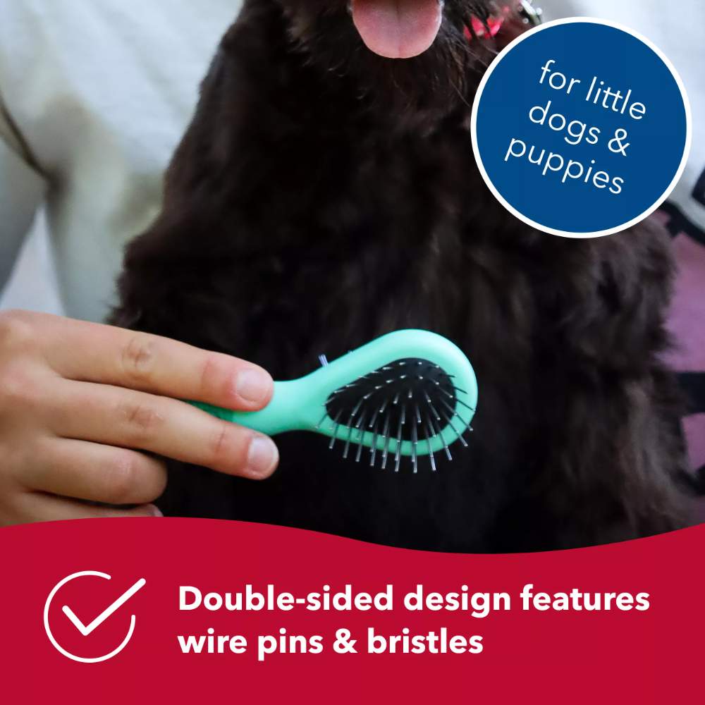 Coastal Pet Products Li'l Pals Dog Combo Brush is being used on a small dog, showing its double-sided design with wire pins and bristles