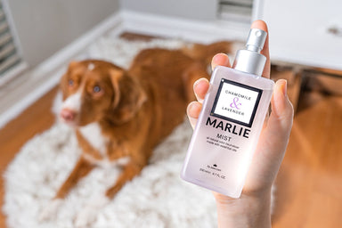 Paw Marlie Mist Pet Odor Eliminator Spray