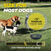Dog barks outdoors wearing Dogtra iQ VIBE Dog Bark Control Collar, demonstrating its sound recognition sensor for accurate bark detection