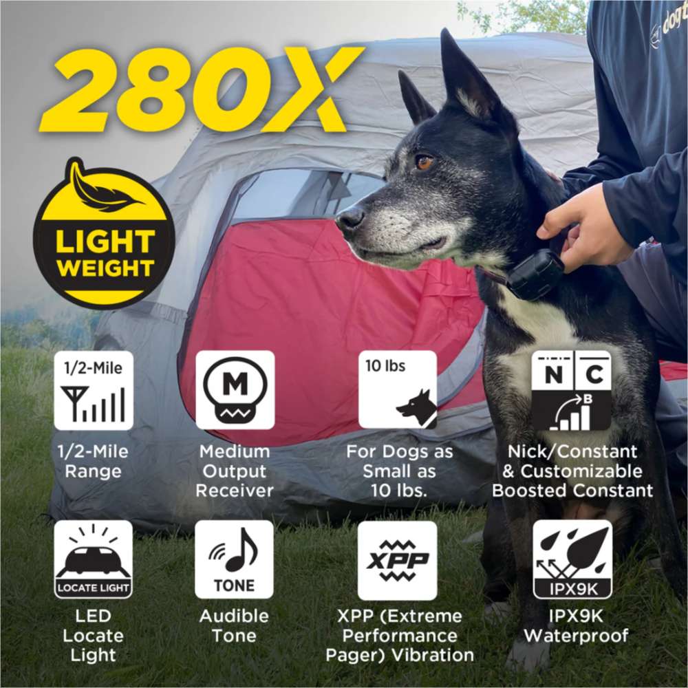 Dog outdoors wears Dogtra 280X/200iQ Additional Receiver, showcasing features like range, vibration, tone, and waterproof design