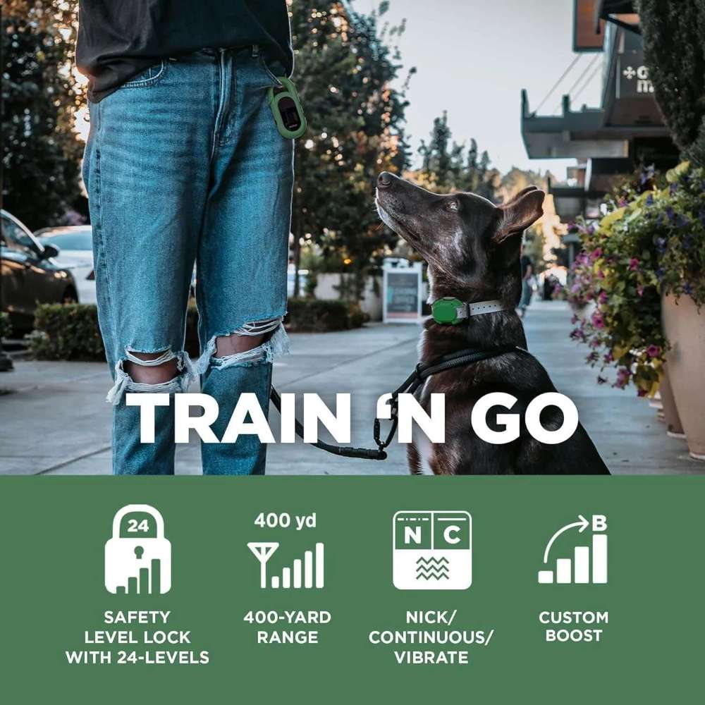Dog sits attentively beside its owner during a walk while wearing Dogtra CUE 400 Yard Dog Remote Trainer, promoting easy training on the go
