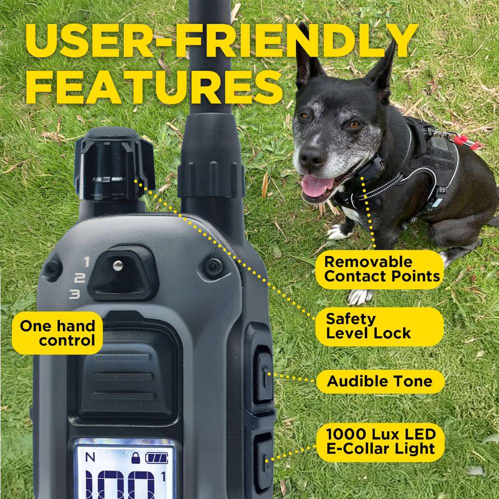 Dog sits on grass next to the remote with labels showing features like safety lock, tone, and LED light for Dogtra 280X Remote Trainer 2 Dog System