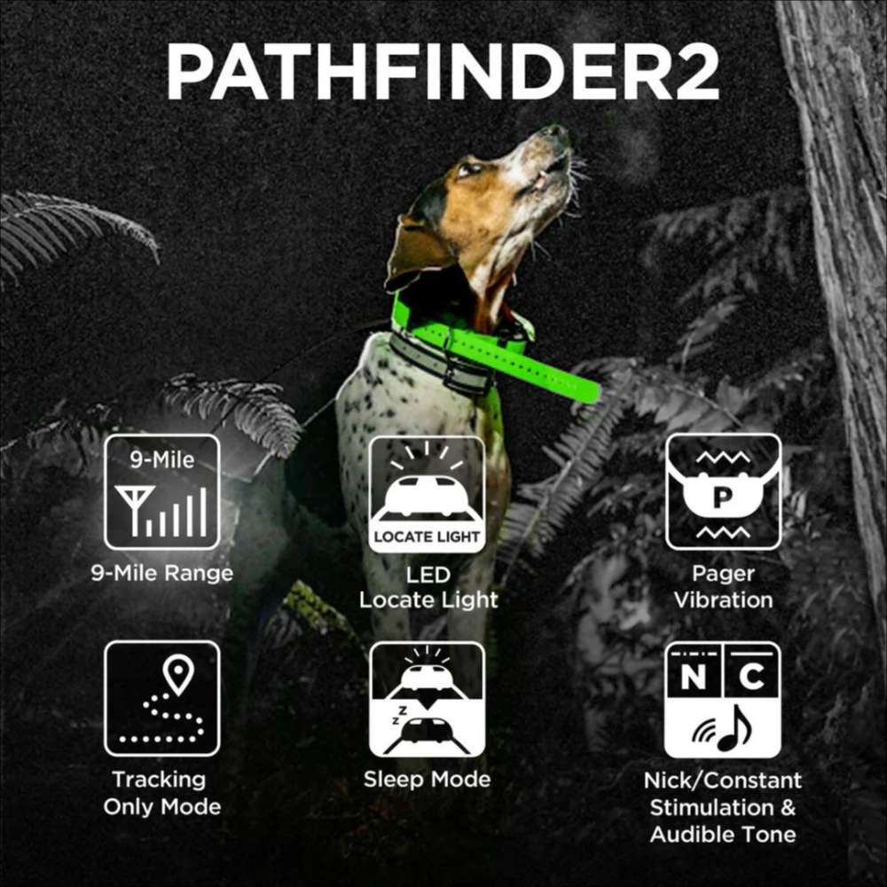 Dog wearing Dogtra Pathfinder2 Extra Receiver Collar in a forest, with icons for tracking range, LED light, vibration, and stimulation