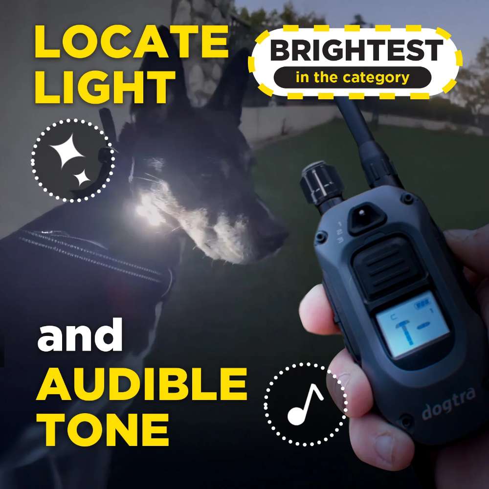 Dog wearing a glowing collar is shown at dusk while a person holds the remote, highlighting the bright locate light and sound feature of Dogtra 280X Remote Trainer 2 Dog System