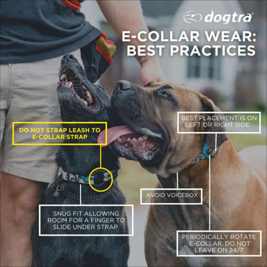 Dogtra 2300NCP Expandable Additional Receiver training guide showing two dogs and proper e-collar placement, fit, and safety tips