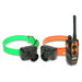 Dogtra 2702T&B Training and Beeper 1 Mile 2 Dog Remote Trainer is neatly arranged with two collars, receivers, and the remote to show the complete set
