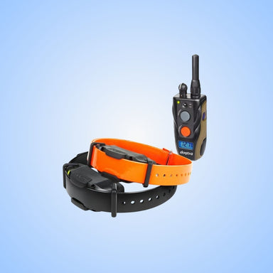     Dogtra-34-Mile-2-Dog-Remote-Trainer-Actual