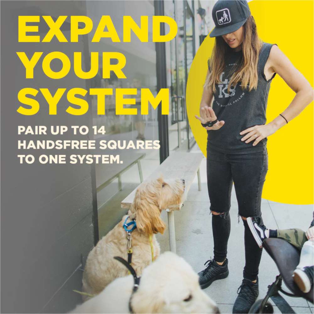 Dogtra Additional Handsfree Square is shown as a training accessory that can pair multiple handsfree squares to one system for group dog training