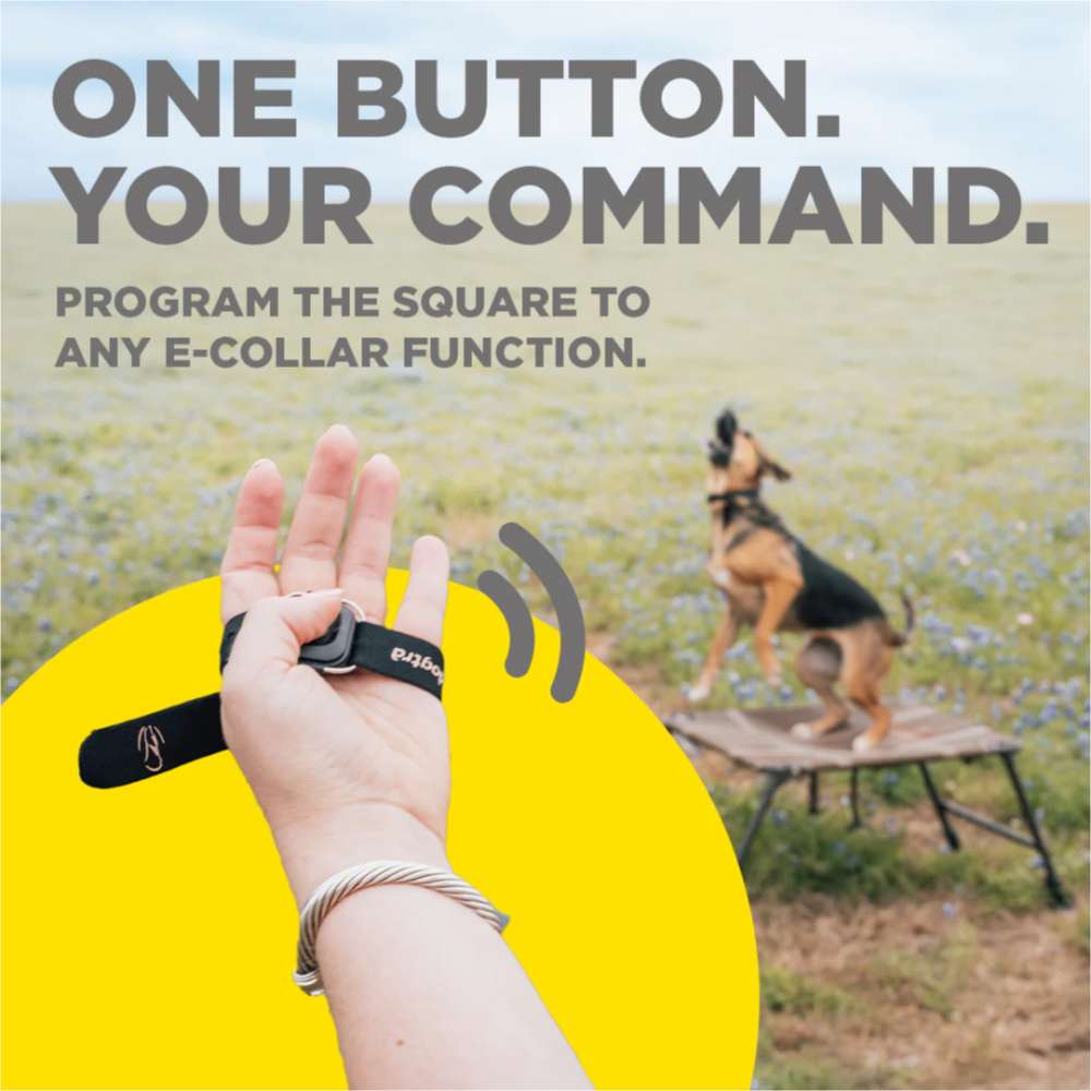 Dogtra Additional Handsfree Square is shown in a handler’s palm, emphasizing one-button control for e-collar commands