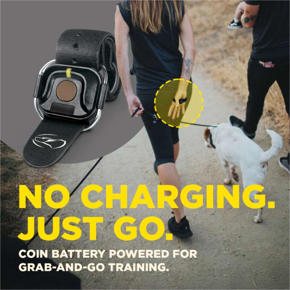 Dogtra Additional Handsfree Square is shown on a strap for quick, battery-powered dog training while walking outdoors
