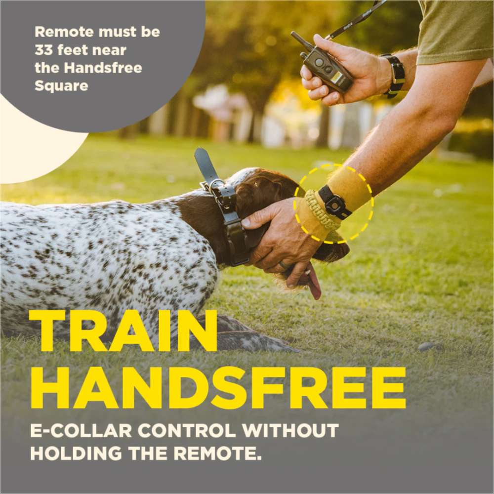 Dogtra Additional Handsfree Square is shown on a trainer’s hand while holding a dog’s collar, highlighting hands-free e-collar control during training