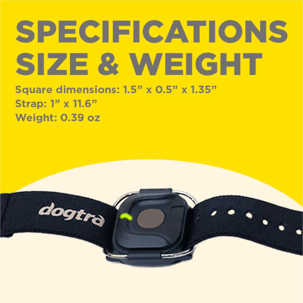 Dogtra Additional Handsfree Square is shown with its size, strap length, and lightweight design for easy wear during training