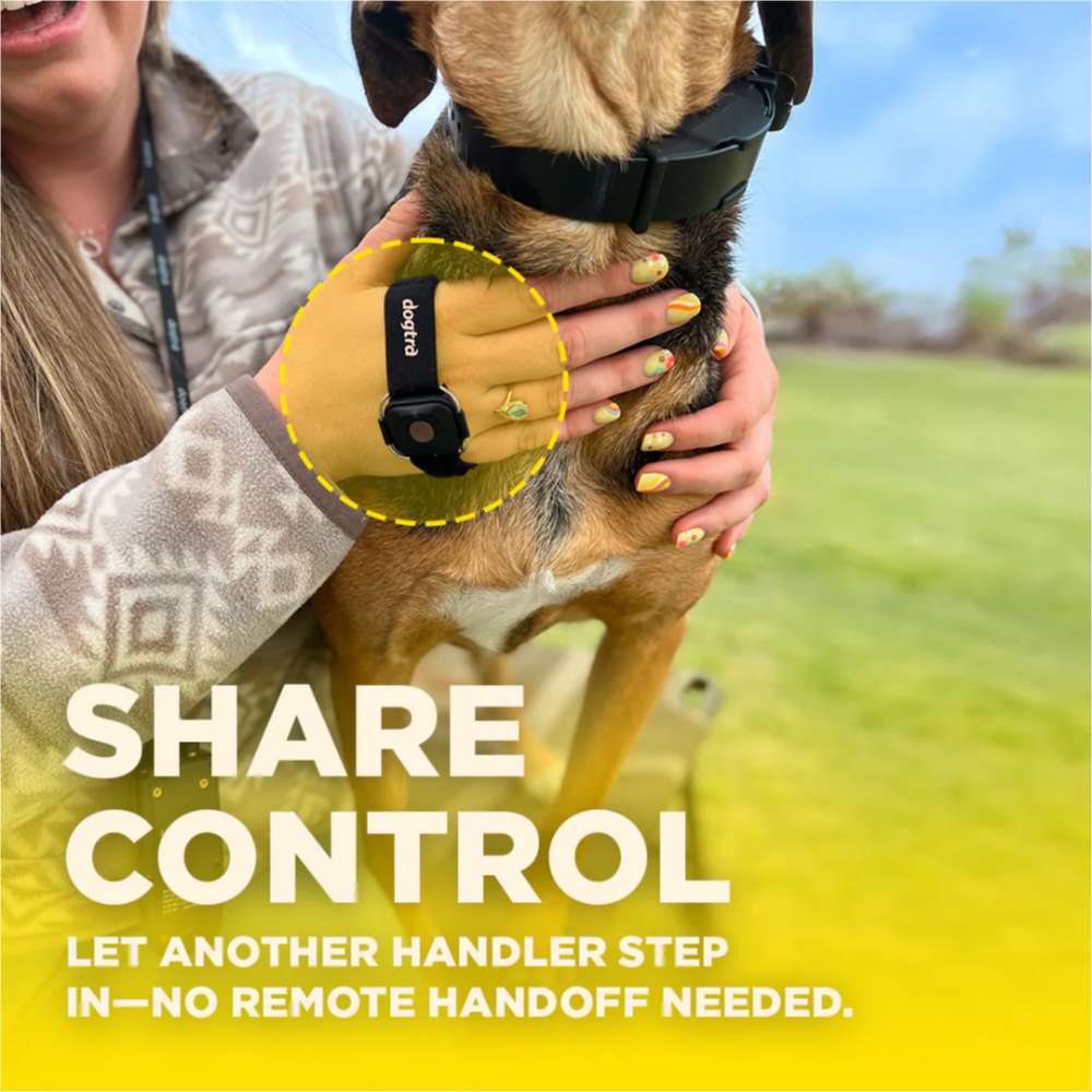 Dogtra Additional Handsfree Square is worn on a handler’s hand while they hold a dog close, showing shared control without passing a remote