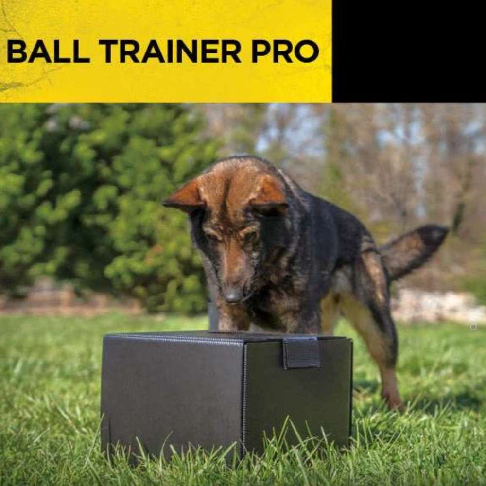 Dogtra Ball Trainer Dual-Function Launcher and Dropper is used by a dog outdoors with a training box for interactive play