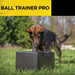 Dogtra Ball Trainer Dual-Function Launcher and Dropper is used by a dog outdoors with a training box for interactive play