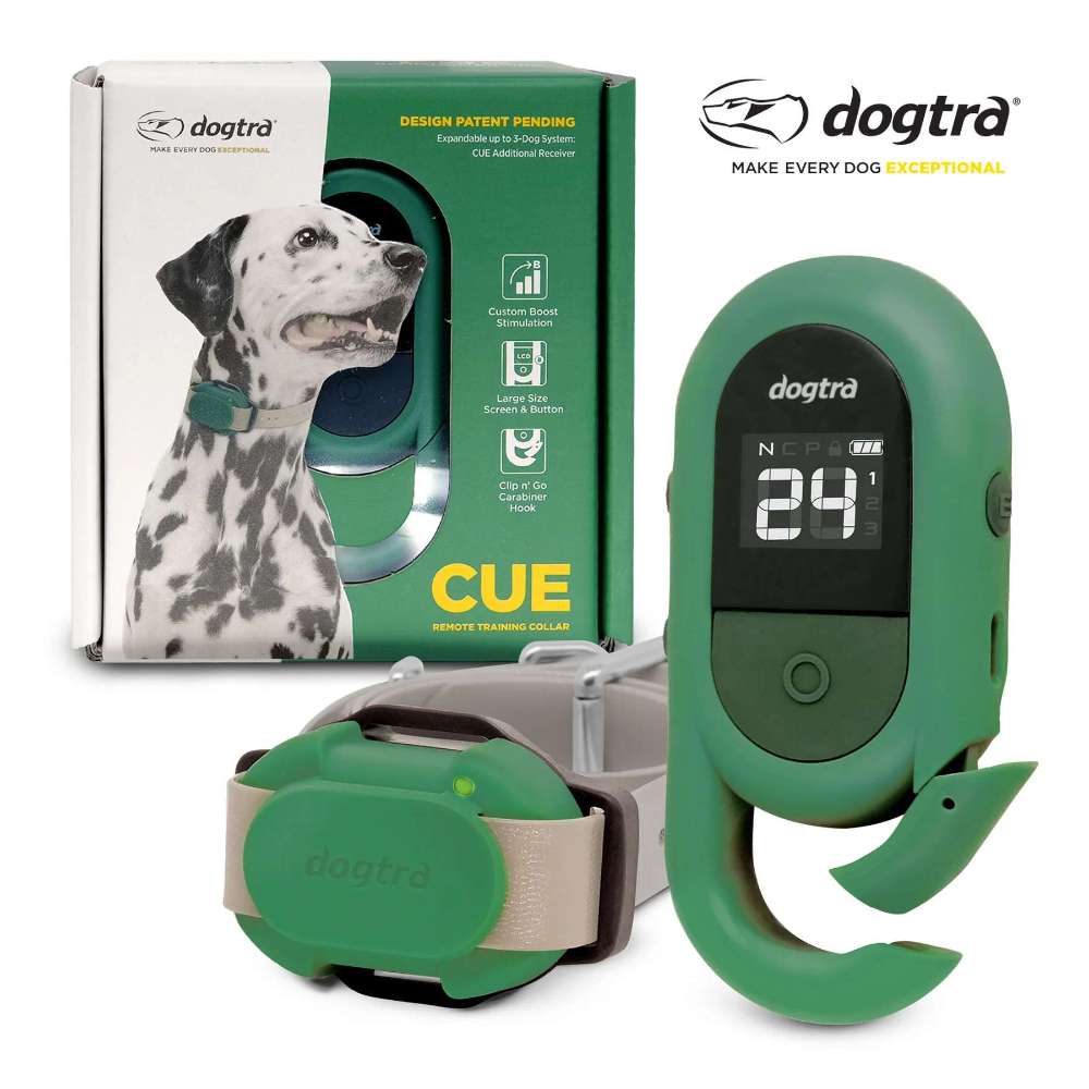 Dogtra CUE 400 Yard Dog Remote Trainer is displayed with its packaging, showing the green remote and collar system