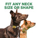 Dogtra CUE GEN2 400 Yard Dog Remote Trainer is shown on two dogs with different neck sizes, showing that the collar fits many neck shapes and sizes