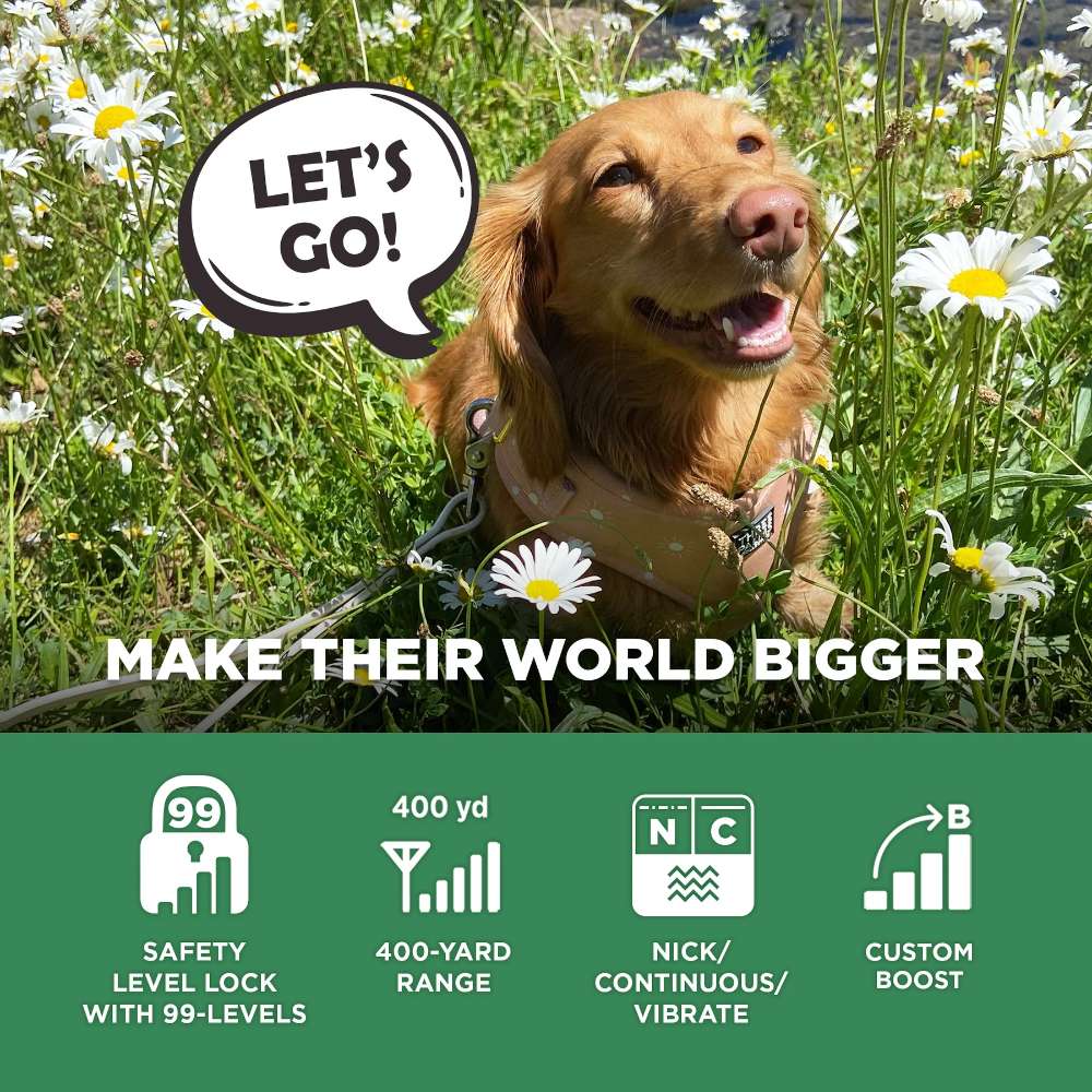 Dogtra CUE GEN2 400 Yard Dog Remote Trainer is shown with a happy dog in flowers, highlighting its 400-yard range, 99-level safety lock, vibrate mode, and custom boost