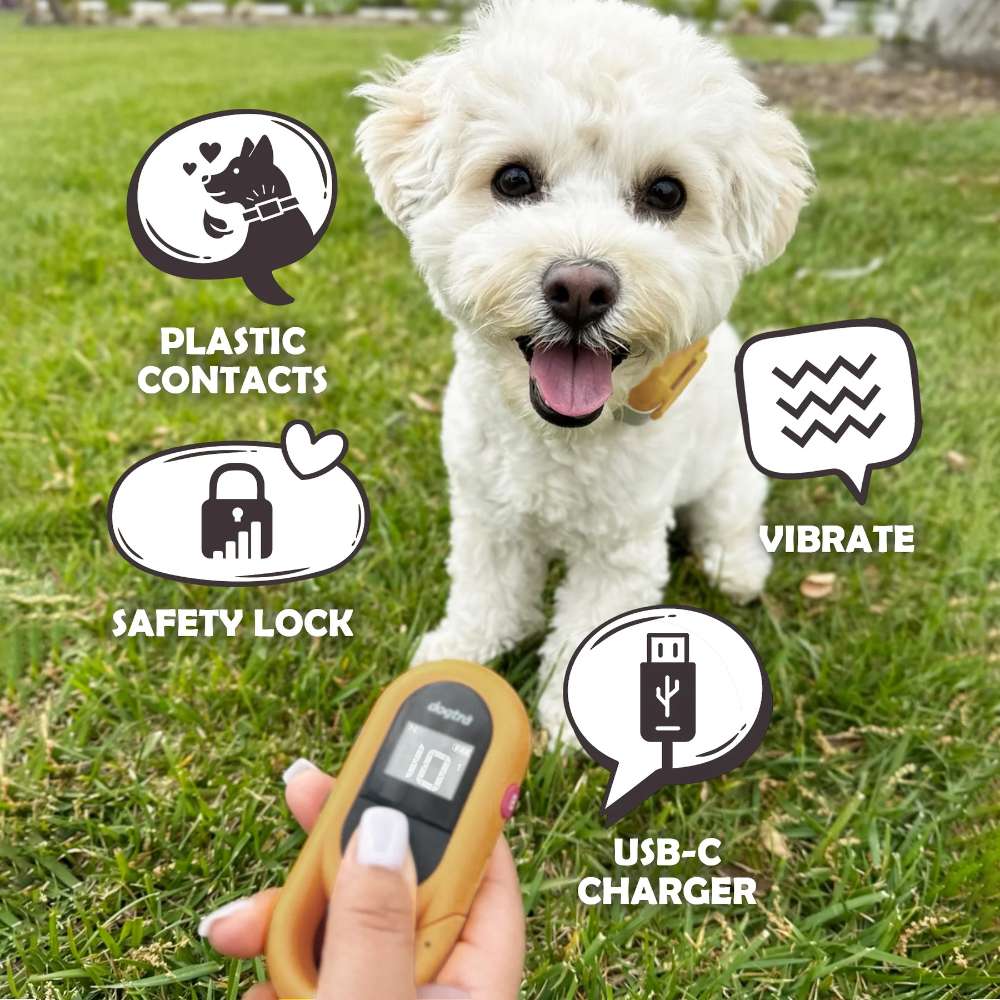 Dogtra CUE GEN2 400 Yard Dog Remote Trainer is shown with a small white dog and a handheld remote, highlighting plastic contacts, safety lock, vibrate mode, and USB-C charging