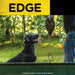 Dogtra EDGE 1 Mile Dog Remote Trainer Expandable shows a dog wearing the collar during outdoor training with a handler