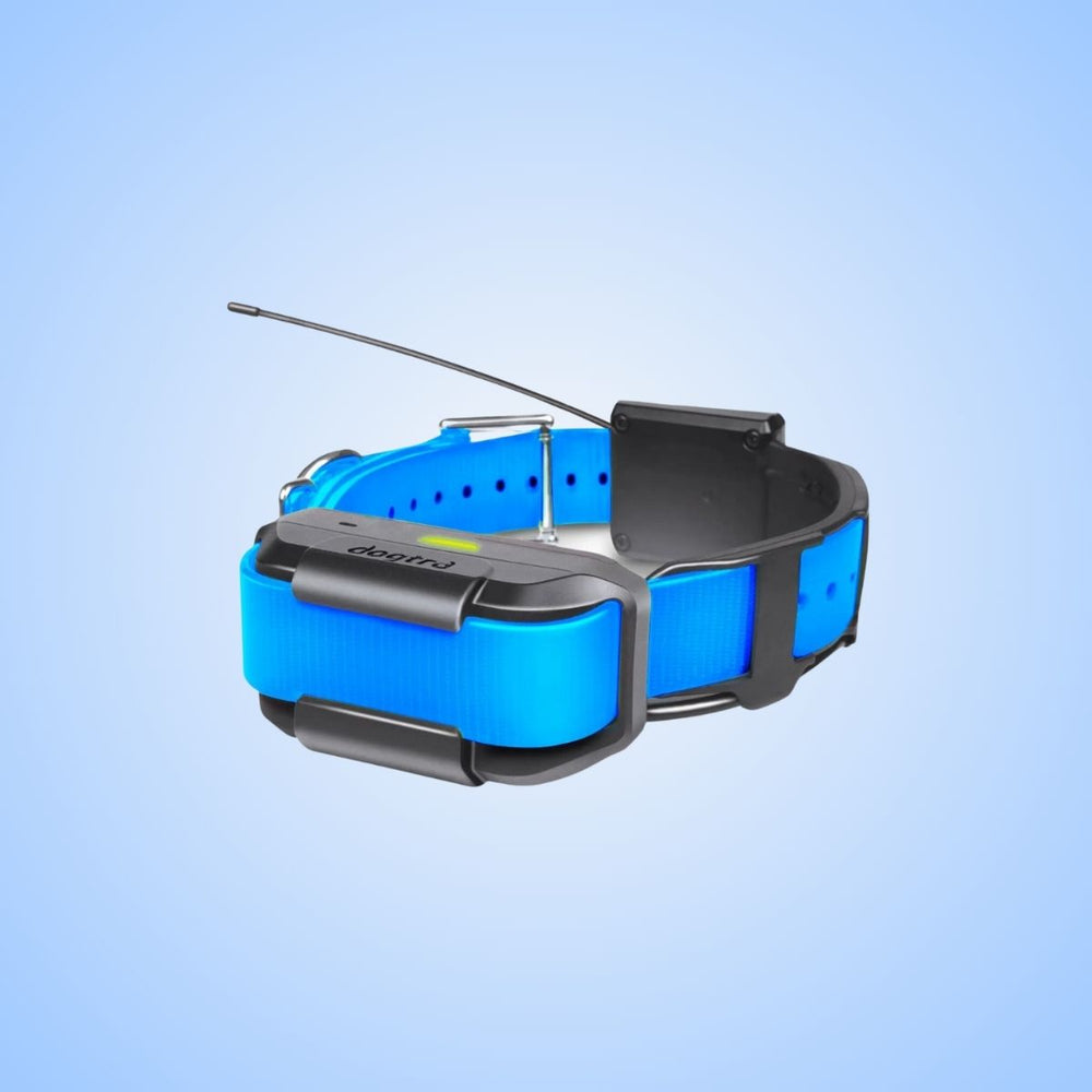     Dogtra-Pathfinder-Extra-Collar-Blue