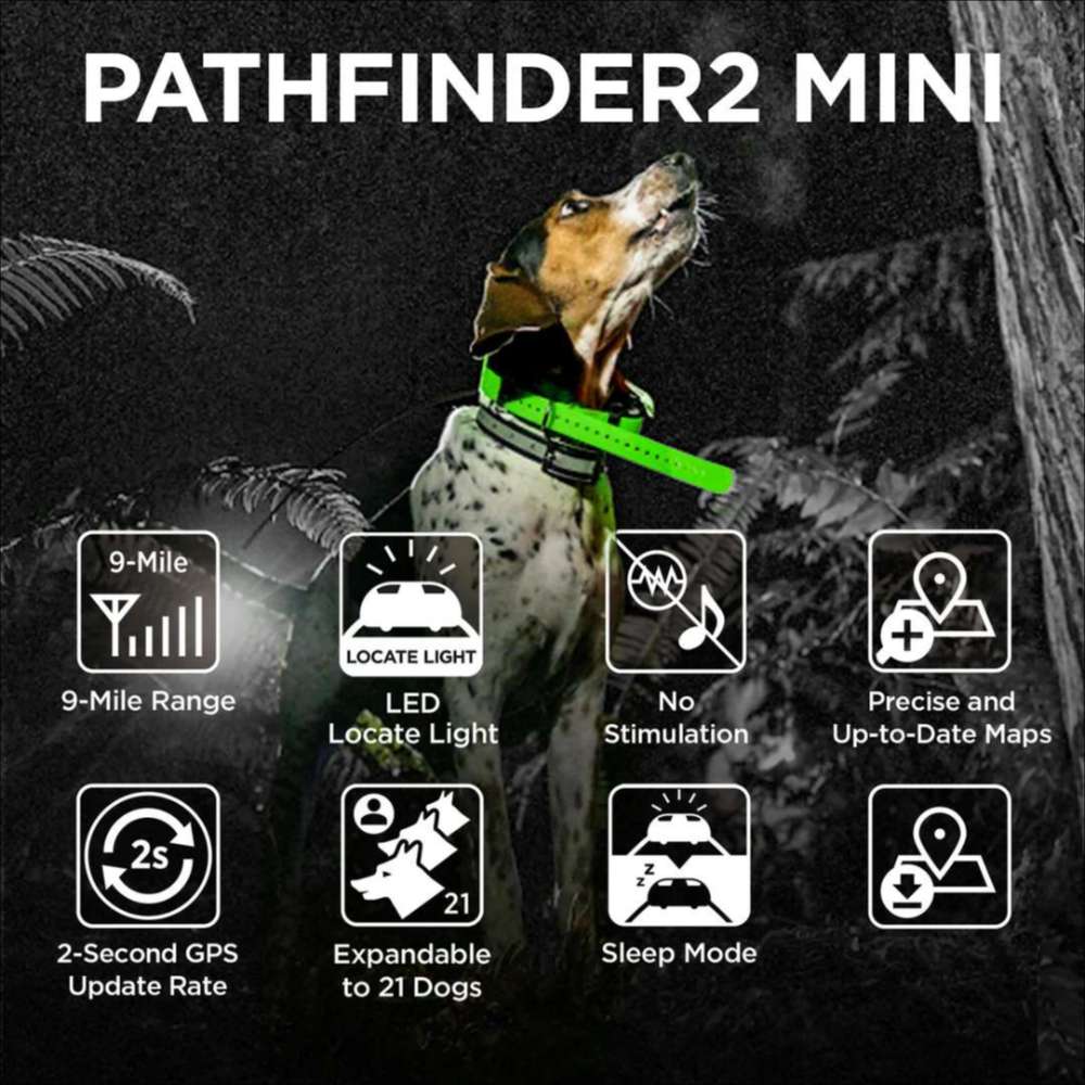 Dogtra Pathfinder2 Mini Additional Receiver is shown on a dog with icons highlighting a 9-mile range, GPS tracking, LED light, and sleep mode