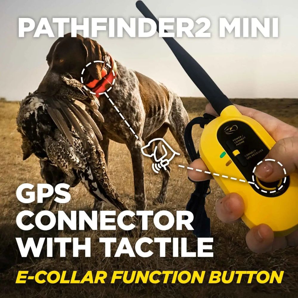 Dogtra Pathfinder2 Mini GPS Dog Collar Function Button