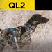 Dogtra QL2 Launcher is shown alongside a hunting dog standing alert in tall grass, illustrating its use in bird dog training scenarios